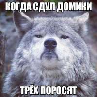 540x540