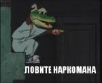 91