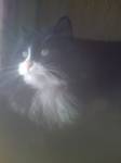 194
