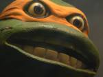 491