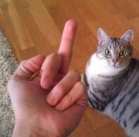 78