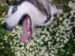503