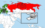 231