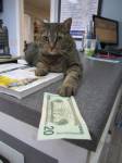 159