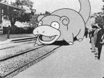 246
