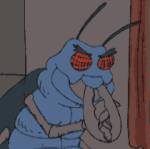 37
