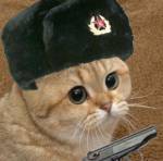 117