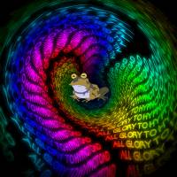 683