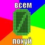 81