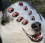 27