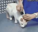 1671