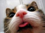 187