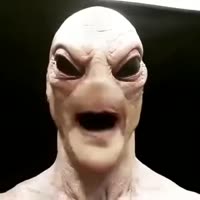 460x460