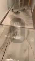 368x640