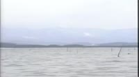 1280x720