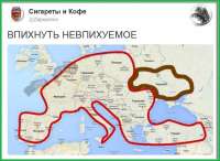 898x656