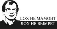 1578x810