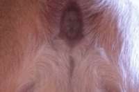 44