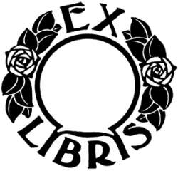 300x289