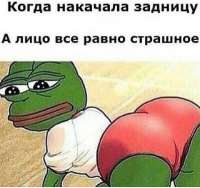 600x566