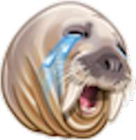 288x294