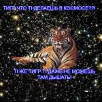 73