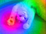2134