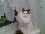 68