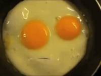 2552