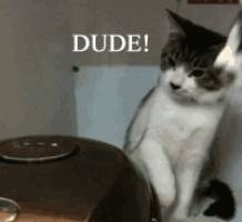912