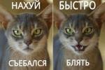 59