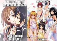 604x442