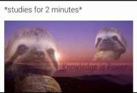 478x324