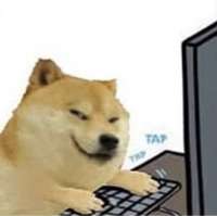 500x499