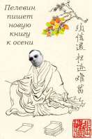 509x769