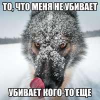 1600x1600