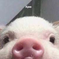 200x200