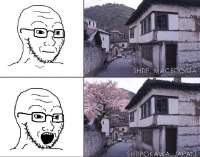 680x535