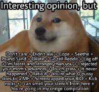 360x335