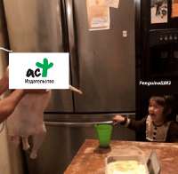 487x479