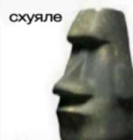 298x312