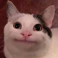900x900