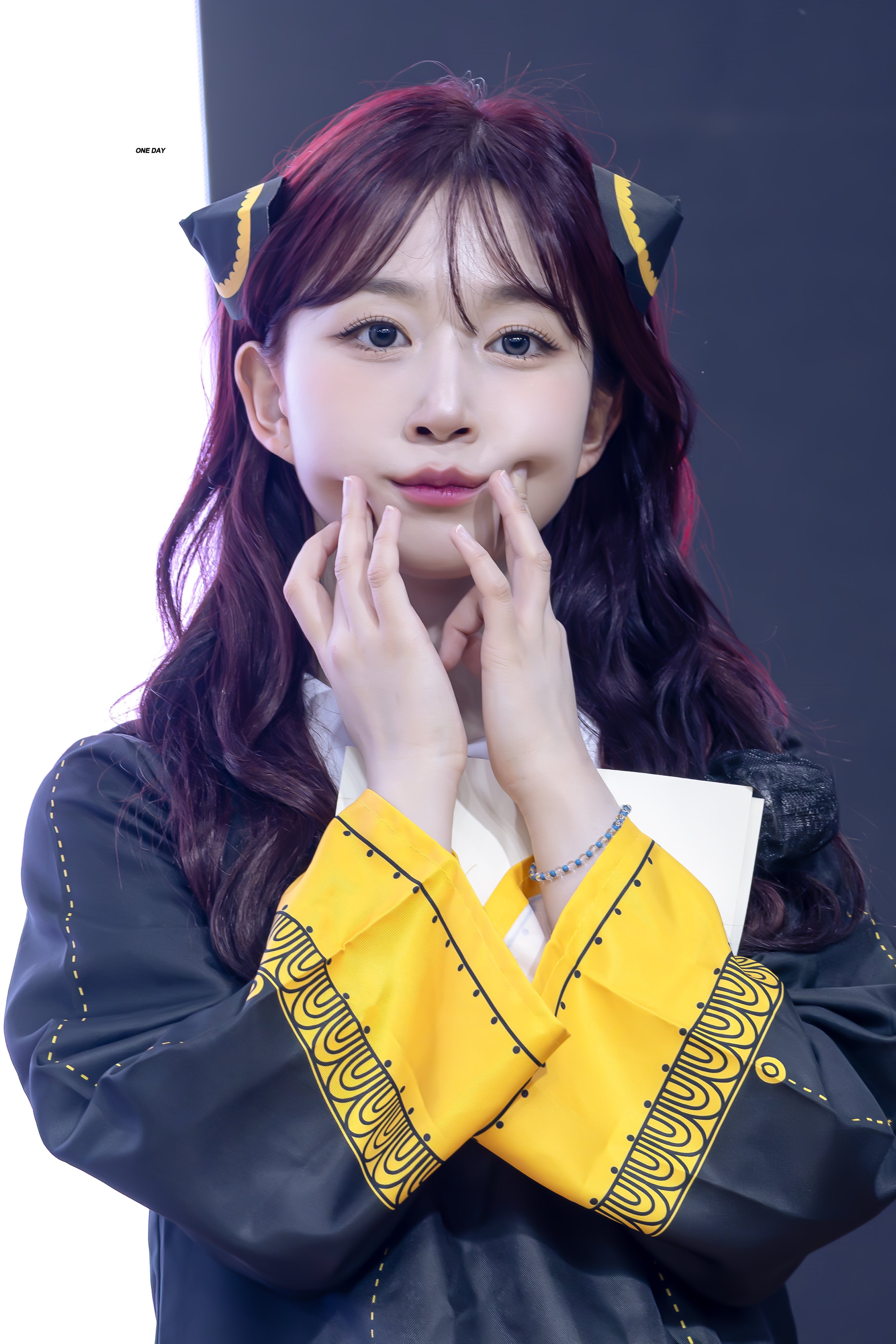 2731x4096