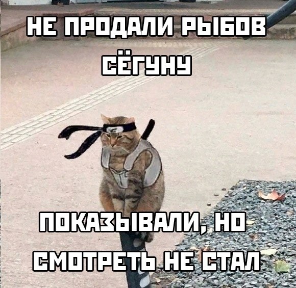 580x565