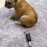 360x360