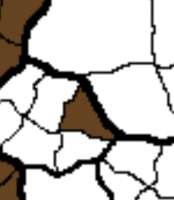 293x336