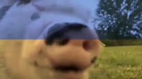 640x360