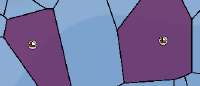 338x146