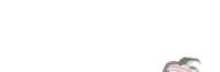 300x100