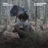 360x360